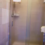 Hotel Minerva Pise